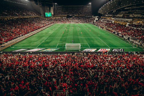 Les protéines végétales et la musculation : le duo gagnant ?